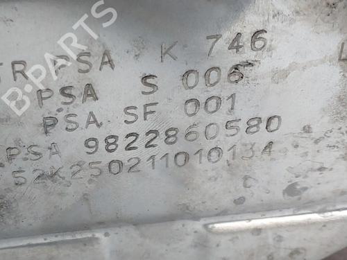 Catalyst PEUGEOT PARTNER Box Body/MPV (K9) 1.5 BlueHDI 130 | BP29892693M10