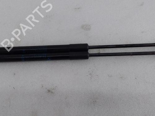 Used Hood lift support BMW X1 (F48) sDrive 18 d (150 hp) 30159139