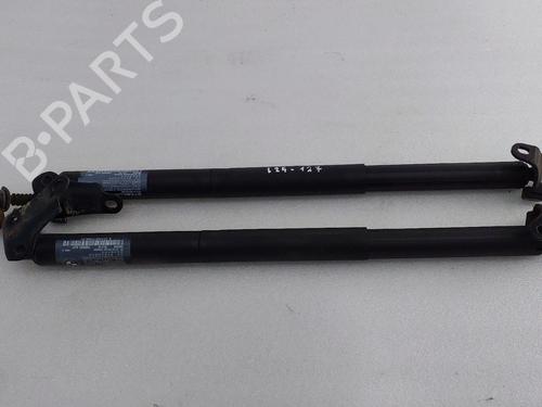 Used Tailgate lift support BMW X1 (F48) sDrive 18 d (150 hp) 30174363
