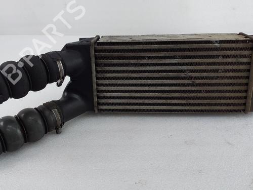 Used Intercooler PEUGEOT PARTNER Box Body/MPV 1.6 HDi (91 hp) 30308080