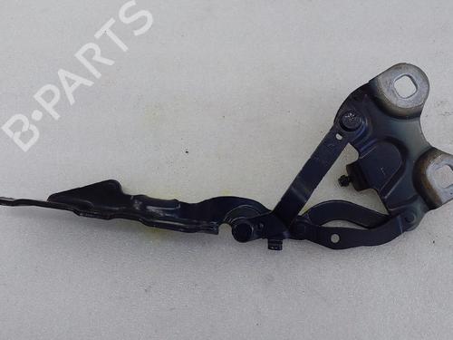 Hinge/Door check strap MINI MINI COUNTRYMAN (R60) | BP30460377C146