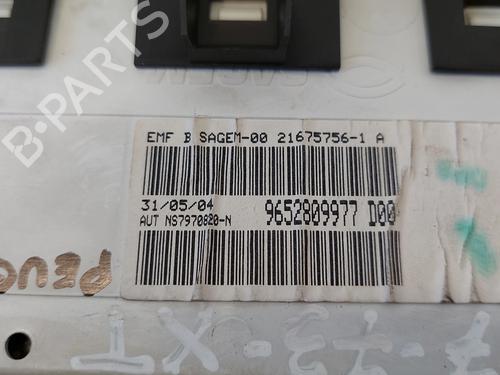 Display PEUGEOT 307 (3A/C)  | BP30510749C48 