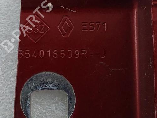 Hinge/Door check strap RENAULT ZOE (BFM_) | BP30599967C146