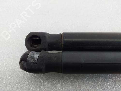 Tailgate lift support MINI MINI COUNTRYMAN (R60) | BP30616739C138