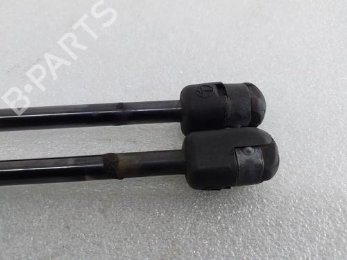 Tailgate lift support MINI MINI COUNTRYMAN (R60) | BP30616739C138