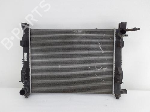 Køler DACIA LODGY (JS_) 1.2 TCe (JSAY, JSM0) (115 hp) 30698614