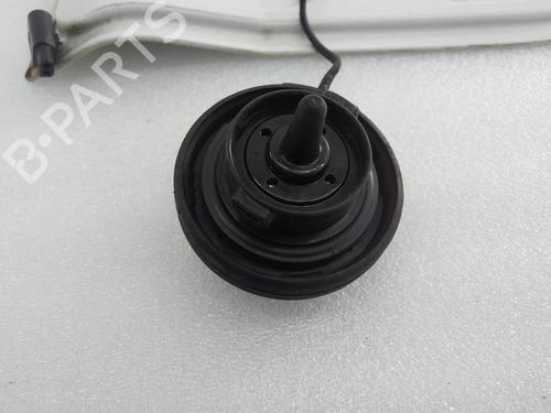 Tampa do combustível VW CRAFTER 30-50 Van (2E_) | BP30831591C131