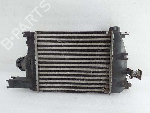 Intercooler / Chłodnica powietrza doładowującego DACIA SANDERO II TCe 90 (B8M1, B8MA, B8AC) | BP30839009M30