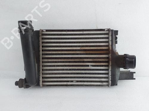 Używane Intercooler / Chłodnica powietrza doładowującego DACIA SANDERO II TCe 90 (B8M1, B8MA, B8AC) (90 hp) 30839009