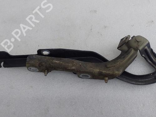 Hinge/Door check strap PEUGEOT 207 (WA_, WC_) 1.4 16V | BP31161459C146