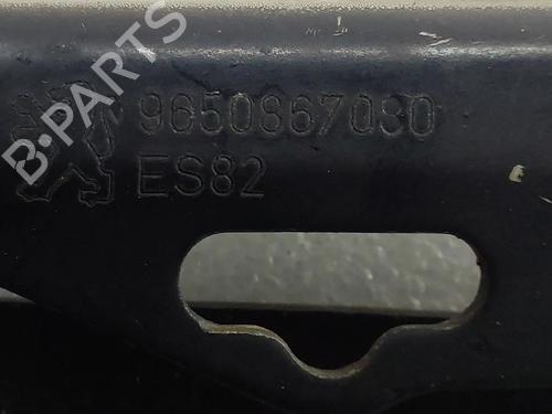 Hinge/Door check strap PEUGEOT 207 (WA_, WC_) 1.4 16V | BP31161459C146