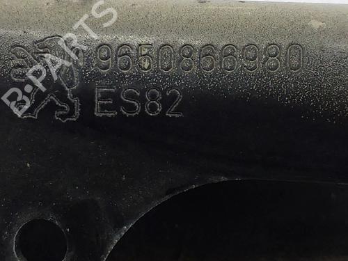 Hinge/Door check strap PEUGEOT 207 (WA_, WC_) 1.4 16V | BP31161459C146