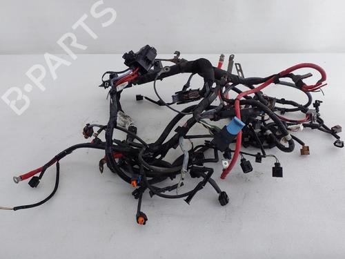 Faisceau de câbles RENAULT MEGANE III Hatchback (BZ0/1_, B3_) 1.5 dCi (BZ1G, BZ1W, BZ0R) (95 hp) 31310246