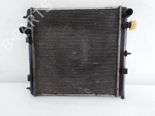 Used Water radiator PEUGEOT 207 Hatchback Van (WA_, WC_) 1.4 HDi (68 hp) 31337271