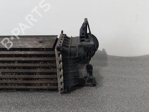 Intercooler FIAT DUCATO Platform/Chassis (250_) 150 Multijet 2,3 D | BP31378224M30 
