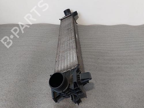 Intercooler FIAT DUCATO Platform/Chassis (250_) 150 Multijet 2,3 D | BP31378224M30 