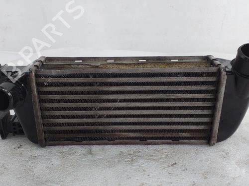 Used Intercooler FIAT 500 (312_) 1.3 D Multijet (312AXB1A) (75 hp) 33001726