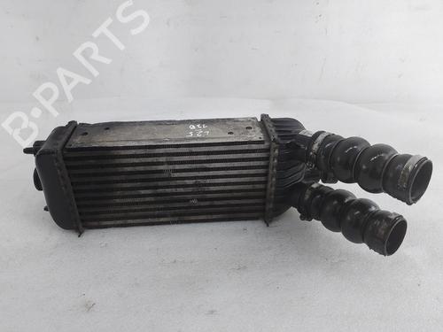 Intercooler CITROËN JUMPY II Van 1.6 HDi 90 16V (90 hp) 33044000