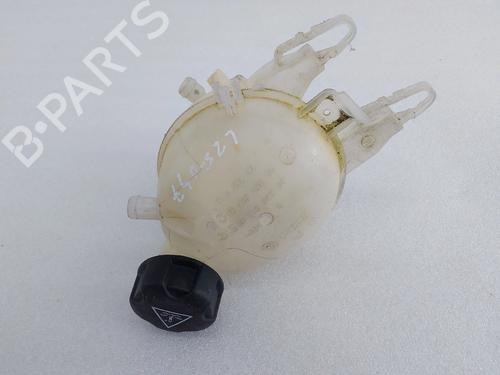 expansion-tank-citroen-c3-ii-sc_-2009-33320640 main image