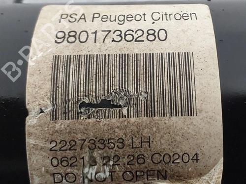 Left front shock absorber CITROËN C3 II (SC_) 1.2 VTi 82 | BP33323049M16  - Image 5