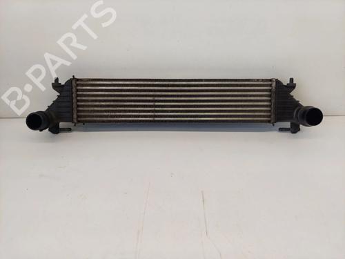 Used Intercooler Intercooler FIAT TIPO Hatchback (356_, 357_) 1.3 D (356HXH1A) (95 hp) 33819162 33819162