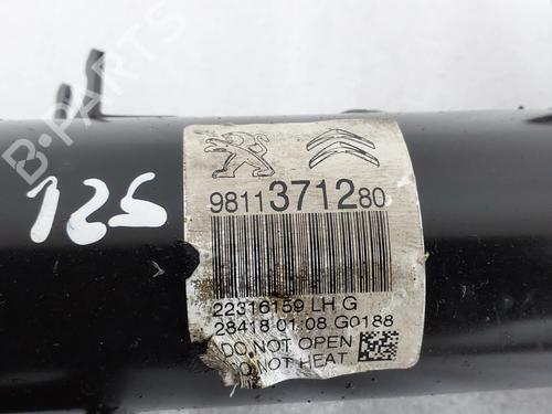 Left front shock absorber CITROËN C3 III (SX) 1.2 VTi 82 | BP37237884M16 - Image 5
