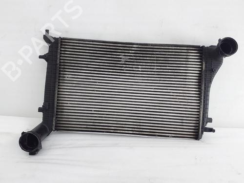 Intercooler Intercooler VW GOLF V (1K1) 1.9 TDI (105 hp) 37488975 37488975
