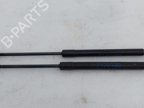 Ammortizzatore cofano anteriore Ammortizzatore cofano anteriore 39035610 39035610