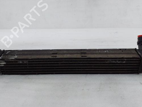 Intercooler Intercooler RENAULT MEGANE III Grandtour (KZ0/1) 1.5 dCi (KZ09, KZ0D, KZ1G, KZ29, KZ14, KZ1W, KZ10, KZ1F,... (110 hp) 39686186 39686186