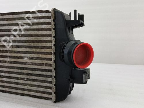 Intercooler RENAULT CLIO V (B7_) 1.0 LPG (B7MT) | BP39951947M30 - Image 2
