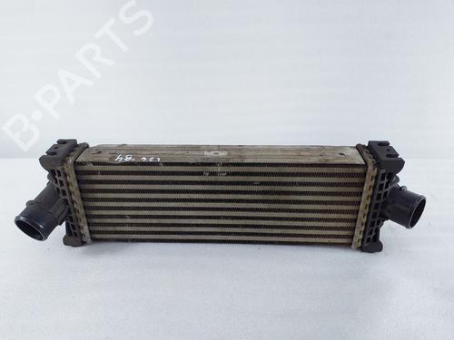 Used Intercooler Intercooler FORD TRANSIT V363 Van (FCD, FDD) 2.0 EcoBlue (130 hp) 39985601 39985601