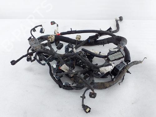 Used Wiring harness Wiring harness FORD TRANSIT V363 Van (FCD, FDD) 2.0 EcoBlue (130 hp) 40005703 40005703