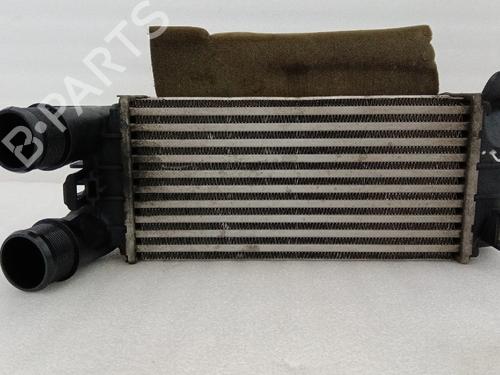 Used Intercooler Intercooler FORD FIESTA VII (HJ, HF) 1.5 TDCi (86 hp) 40046085 40046085