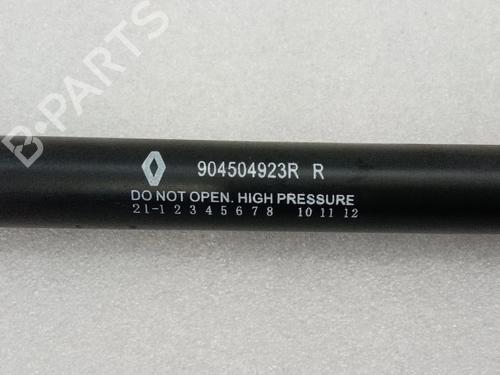 Tailgate lift support DACIA SPRING  | BP40089873C138  - Image 5