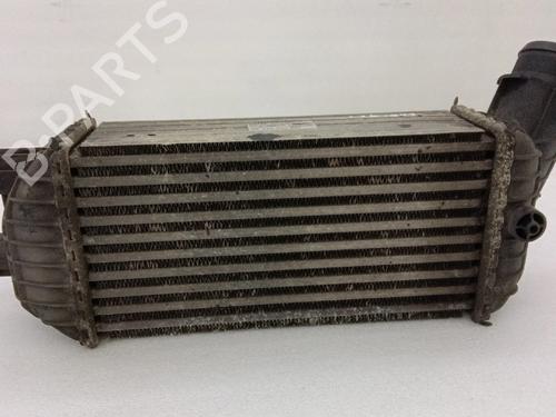 Intercooler CITROËN DS5 2.0 HDi 165 | BP40296704M30 - Image 4