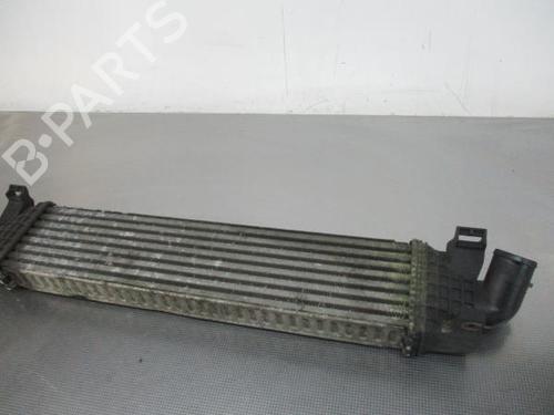 BP16606610M30 | Intercooler FORD FOCUS C-MAX (DM2) 1.6 TDCi BP16606610M30