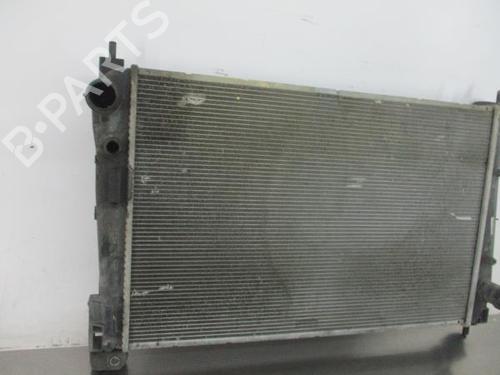 Water radiator FIAT PUNTO Hatchback Van (199_) 1.3 D Multijet | BP19056726M31 