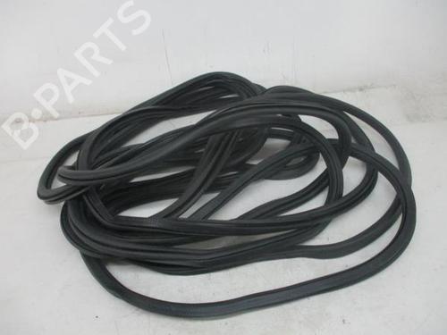Rubber door seal VW POLO VI (AW1, BZ1, AE1) 1.0 | BP16607261C142