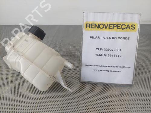 Used Expansion tank RENAULT CLIO III (BR0/1, CR0/1) 1.2 (BR01, BR03, BR0E, CR0E) (78 hp) 17966031