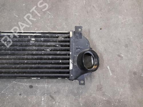 Intercooler MERCEDES-BENZ M-CLASS (W163) ML 400 CDI (163.128) | BP16625291M30