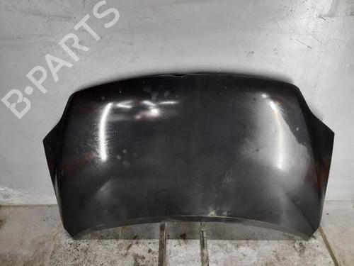 Hood VW GOLF PLUS V (5M1, 521) 2.0 TDI | BP16629861C1 