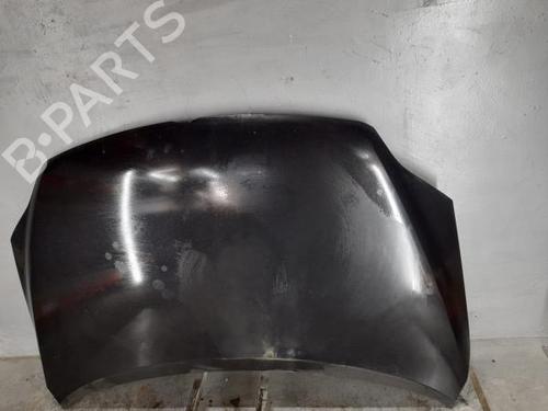 Hood VW GOLF PLUS V (5M1, 521) 2.0 TDI | BP16629861C1 