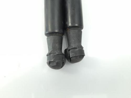 Tailgate lift support BMW 1 (F20) 120 d | BP16630698C138 