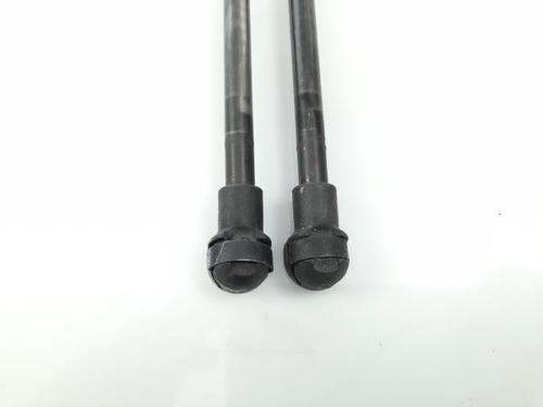 Tailgate lift support BMW 1 (F20) 120 d | BP16630698C138 