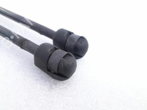 Tailgate lift support AUDI A1 (8X1, 8XK) 1.6 TDI | BP18312792C138