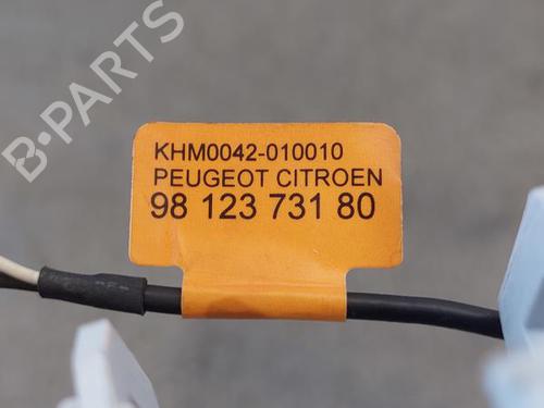 Interior roof light PEUGEOT 308 SW II (LC_, LJ_, LR_, LX_, L4_) 1.6 BlueHDi 100 | BP18747104I8 