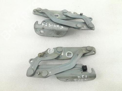 Hinge/Door check strap FORD FIESTA VI (CB1, CCN) 1.6 TDCi | BP21502632C146