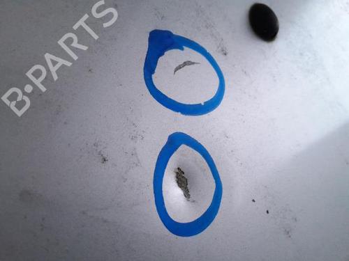 Pokrywa przednia / Maska silnika RENAULT MEGANE II (BM0/1_, CM0/1_)  | BP23076441C1