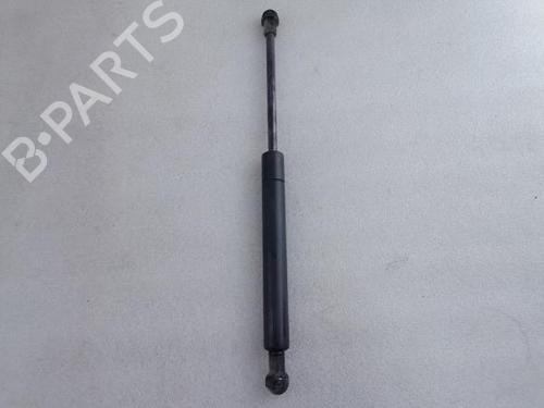 Hood lift support BMW 3 Compact (E46) 320 td | BP25490294C139