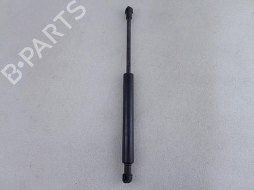 Hood lift support BMW 3 Compact (E46) 320 td | BP25490294C139
